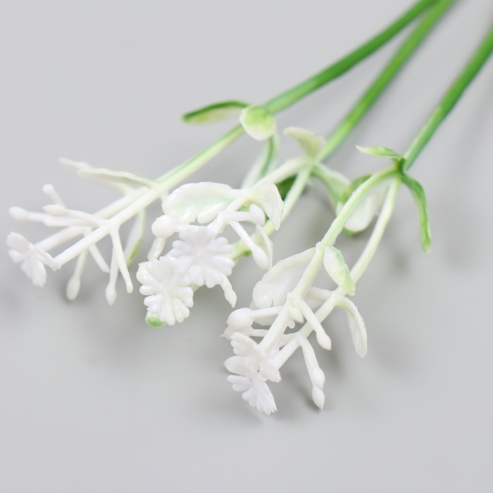 Искусственное растение для творчества "Чистотел" набор 12 шт белый 9 см
