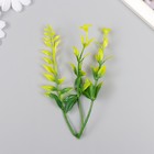 Искусственное растение для творчества "Иглица с цветками" набор 6 шт жёлтый 12,5 см - Фото 2