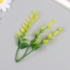 Искусственное растение для творчества "Иглица с цветками" набор 6 шт жёлтый 12,5 см - Фото 3
