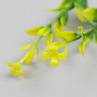 Искусственное растение для творчества "Иглица с цветками" набор 6 шт жёлтый 12,5 см - Фото 5