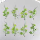 Искусственное растение для творчества "Плющ" набор 8 шт зелёный 16 см - фото 9066300