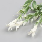 Искусственное растение для творчества "Гиппеастриум" набор 6 шт белый 11 см - Фото 5