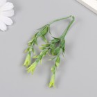 Искусственное растение для творчества "Гиппеастриум" набор 6 шт светло-зелёный 11 см - Фото 4