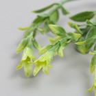 Искусственное растение для творчества "Гиппеастриум" набор 6 шт светло-зелёный 11 см - Фото 5