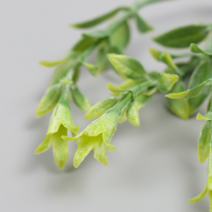 Искусственное растение для творчества "Гиппеастриум" набор 6 шт светло-зелёный 11 см
