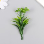 Искусственное растение для творчества "Араукария" набор 12 шт зелёный 9,5 см - фото 9662271