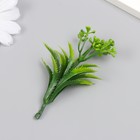 Искусственное растение для творчества "Араукария" набор 12 шт зелёный 9,5 см - фото 9662272