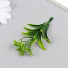 Искусственное растение для творчества "Араукария" набор 12 шт зелёный 9,5 см - фото 9662273