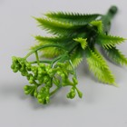 Искусственное растение для творчества "Араукария" набор 12 шт зелёный 9,5 см - фото 9662274