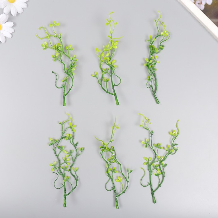 Искусственное растение для творчества "Пеперомия туполистная" набор 6 шт 17 см - Фото 1