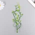 Искусственное растение для творчества "Пеперомия туполистная" набор 6 шт 17 см - фото 9662277