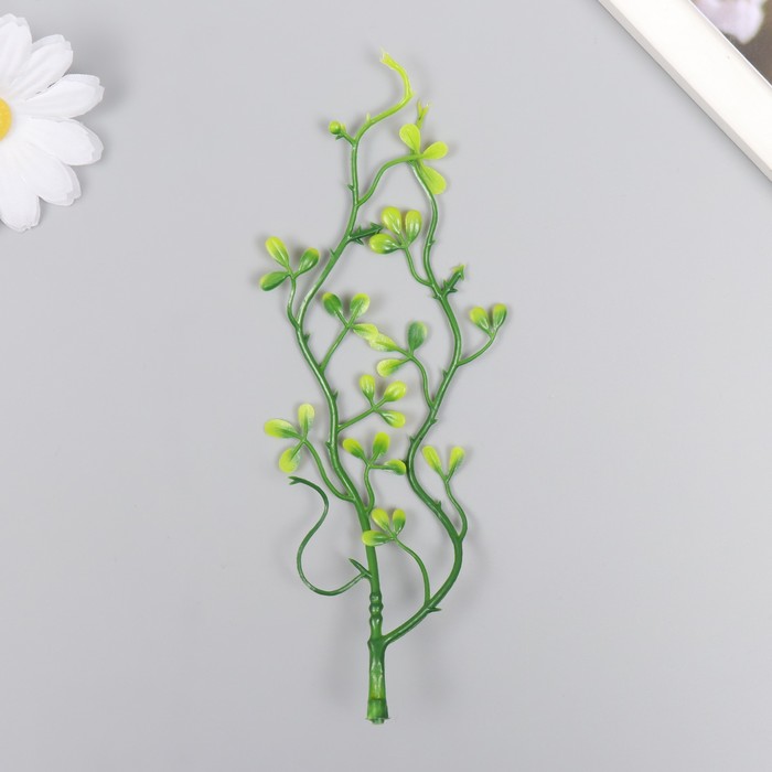 Искусственное растение для творчества "Пеперомия туполистная" набор 6 шт 17 см