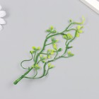Искусственное растение для творчества "Пеперомия туполистная" набор 6 шт 17 см - Фото 3