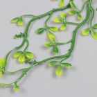 Искусственное растение для творчества "Пеперомия туполистная" набор 6 шт 17 см - Фото 5