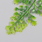 Искусственное растение для творчества "Ветка с остроконечными листьями" набор 6 шт 16 см - Фото 5