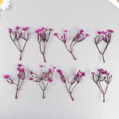 Искусственное растение для творчества «Цикорий», набор 8 шт., фуксия, 10 см