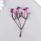 Искусственное растение для творчества "Цикорий" набор 8 шт фуксия 10 см - Фото 2