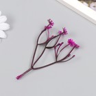 Искусственное растение для творчества "Цикорий" набор 8 шт фуксия 10 см - фото 9662293