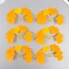 Искусственное растение для творчества "Листья гинкго" набор 6 шт оранжево-жёлтый 8 см - фото 9662316