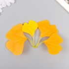 Искусственное растение для творчества "Листья гинкго" набор 6 шт оранжево-жёлтый 8 см - фото 9662317