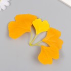 Искусственное растение для творчества "Листья гинкго" набор 6 шт оранжево-жёлтый 8 см - фото 9662318