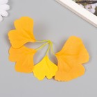 Искусственное растение для творчества "Листья гинкго" набор 6 шт оранжево-жёлтый 8 см - фото 9662319
