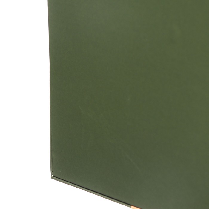 УЦЕНКА Органайзер на кольцах А5, 80 листов, линейка, кожзам, с ручкой, в подарочной коробке, зеленый - Фото 1