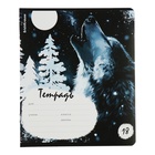 Тетрадь 18 листов в линейку ErichKrause Timber Wolf, обложка мелованный картон, блок офсет, 5В, микс (комплект 10 шт) - фото 24019375
