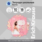 Тетрадь 18 листов в линейку ErichKrause Pointes, обложка мелованный картон, блок офсет, 5В, микс 10352406 - фото 1757267