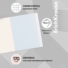 Тетрадь 24 листов в клетку ErichKrause Mystic Flowers, обложка мелованный картон, блок офсет, 5В, микс (комплект 10 шт) - фото 24054573