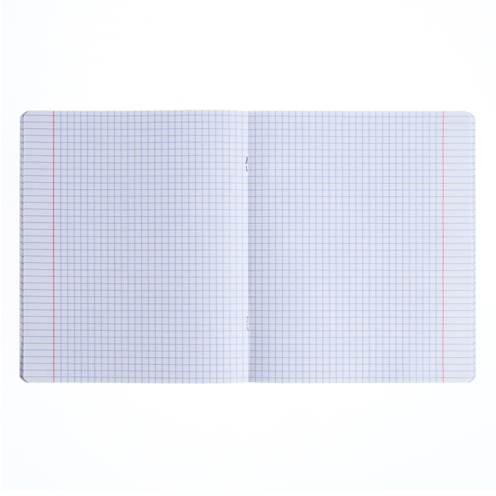 Тетрадь 48 листов в клетку Информатика,ErichKrause "Pastel" с пластиковой обложкой, 3В микс