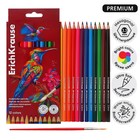 Карандаши цветные акварельные 12 цветов ErichKrause Safari, шестигранные, с кисточкой, европодвес - Фото 1