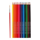 Карандаши цветные акварельные 12 цветов ErichKrause Safari, шестигранные, с кисточкой, европодвес - Фото 2