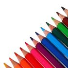 Карандаши цветные акварельные 12 цветов ErichKrause Safari, шестигранные, с кисточкой, европодвес - Фото 3