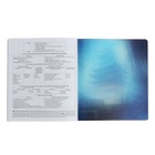 Набор предметных тетрадей ErichKrause. Manga, 12 предметов, 48 листов, 12 штук, со справочным материалом, обложка из мелованного картона - Фото 9