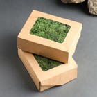 Мох ягель стабилизированный "Натуральный зелёный" 100 гр. 10392022