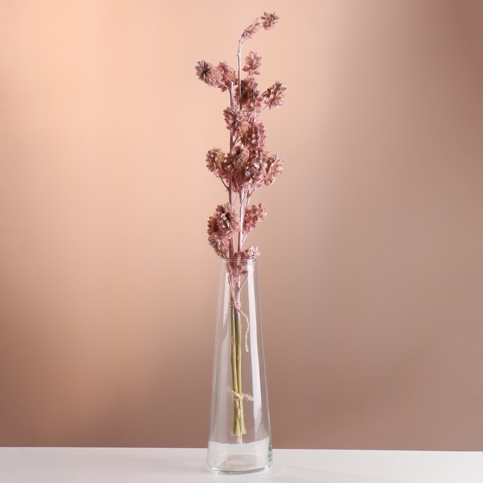 Набор сухоцветов "Солодка", банч 3 шт, длина 60 (+/- 6 см), розовый - Фото 1