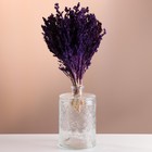 Набор сухоцветов "Шандра", банч длина 40 (+/- 6 см), фиолетовый - фото 321554425