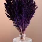 Набор сухоцветов "Шандра", банч длина 40 (+/- 6 см), фиолетовый - фото 9743721
