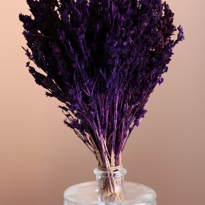 Набор сухоцветов "Шандра", банч длина 40 (+/- 6 см), фиолетовый