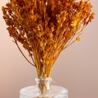 Набор сухоцветов "Шандра", банч длина 40 (+/- 6 см), горчица - фото 9743725