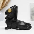 Копилка "Такса сидит" черная, 23х25х12см - фото 23994802