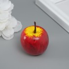 Набор декоративных фигурок "Фрукты" (уп.100шт) (комплект 6 шт) - фото 23995142