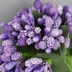 Букет декоративный "Ягодки" (12 шт упак) длина 9,5 см, цв. сиреневый - фото 23995288