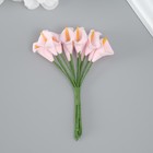 Декоративный цветок для творчества "Калла" розовый - фото 321509387