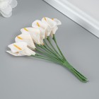 Декоративный цветок для творчества "Калла" белый - Фото 2