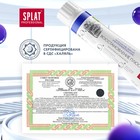 Зубная паста Splat Professional "Восстановление Плюс", 100 мл - Фото 8