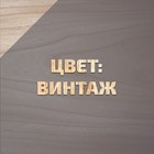 Антисептик лессирующий на натуральном льняном масле ВДПФ-1601 винтаж 3 л - Фото 2