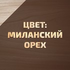 Антисептик лессирующий на натуральном льняном масле ВДПФ-1601 миланский орех 9 л - Фото 2