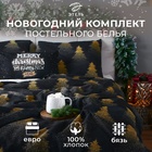 Постельное бельё "Этель" Евро Golden Christmas 200х217 см, 220х240 см, 70х70 см - 2 шт, бязь - фото 322305399